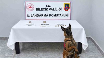 🔊 Haberi Sesli Dinle Hazır ▶ Dinle ⏸ Duraklat ⏹