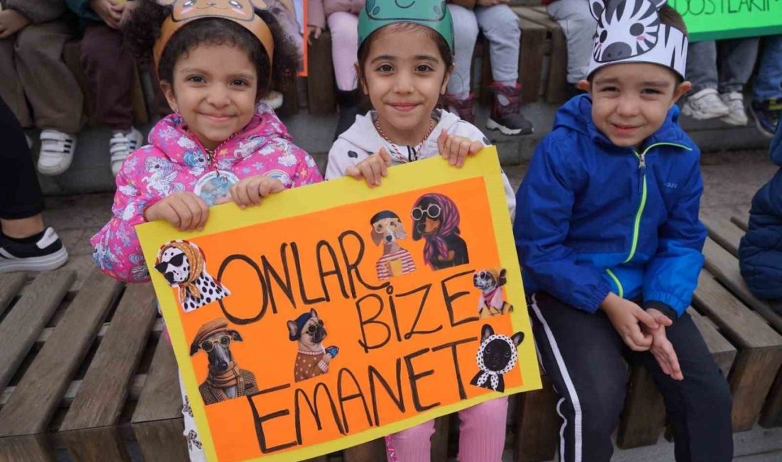 Bilecik’te öğrenciler sokak hayvanlarını ziyaret edip mama desteğinde bulundu Bilecik Belediyesi çocuk tesisleri ve özel eğitim kurumlarında öğrenim gören