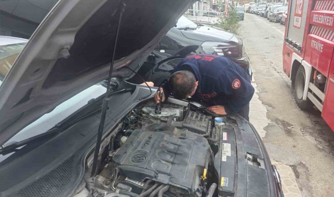 Zonguldak’ın Karadeniz Ereğli ilçesinde park halindeki otomobilin motor bölümüne giren