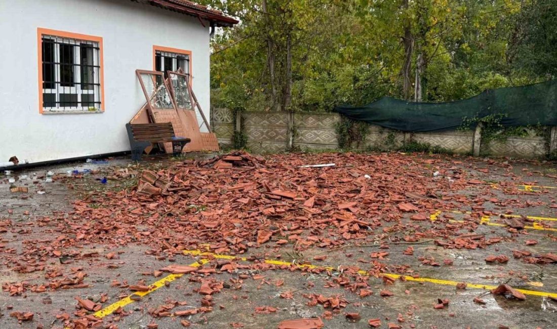 🔊 Haberi Sesli Dinle Hazır ▶ Dinle ⏸ Duraklat ⏹