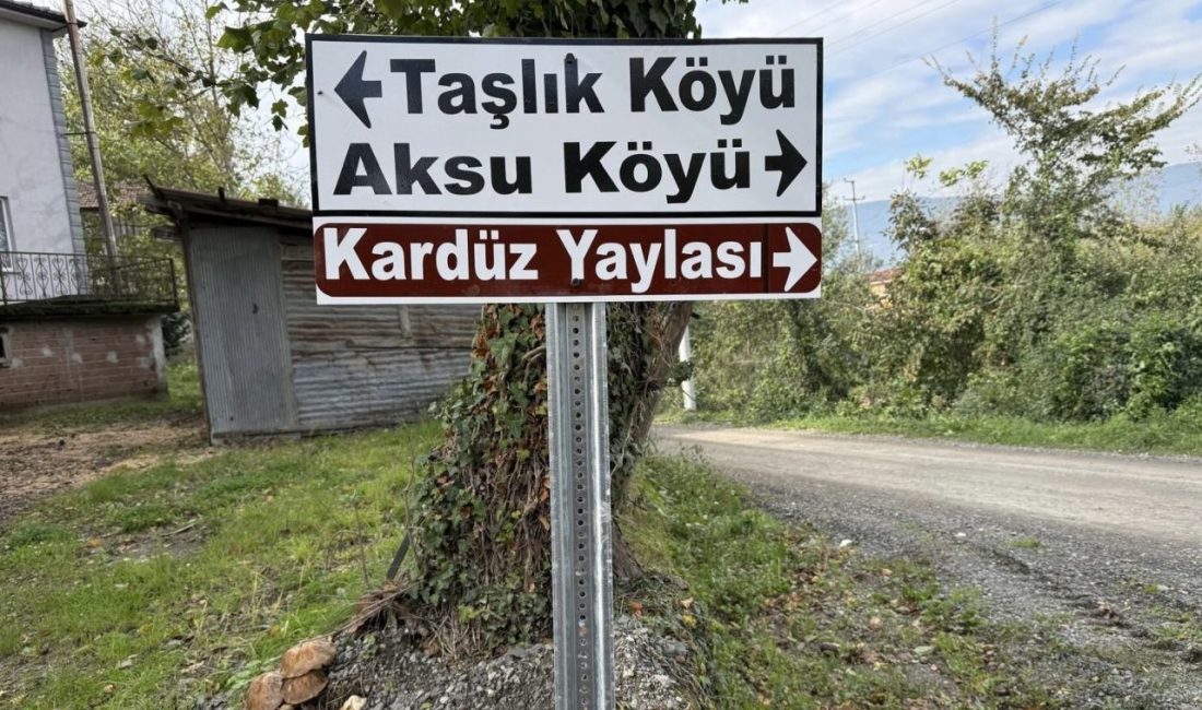 🔊 Haberi Sesli Dinle Hazır ▶ Dinle ⏸ Duraklat ⏹