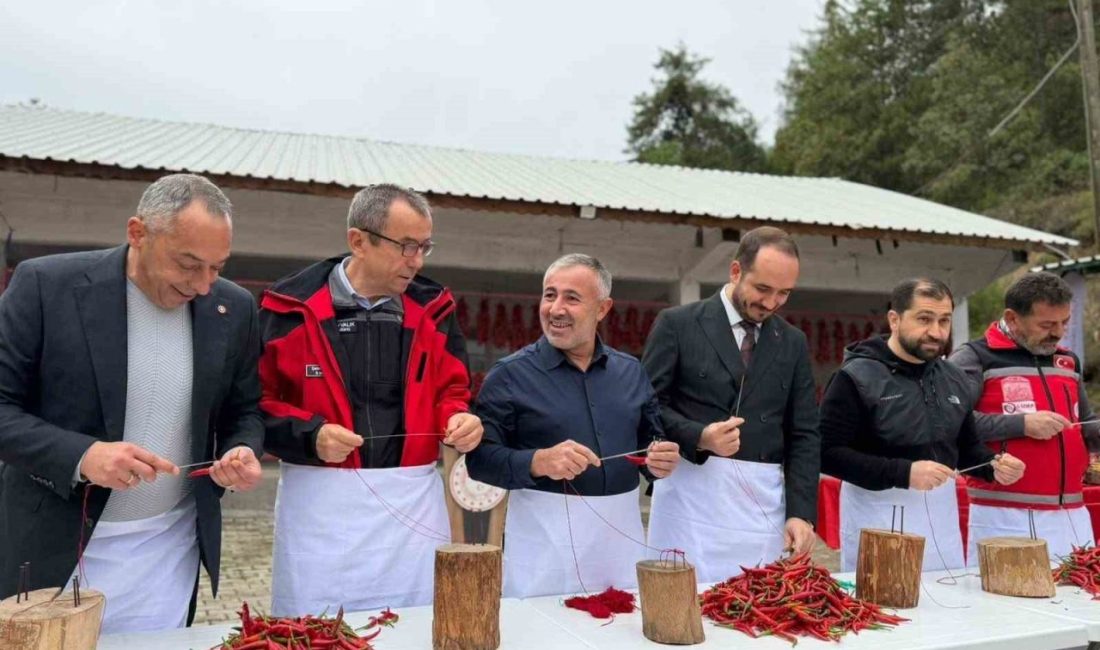 🔊 Haberi Sesli Dinle Hazır ▶ Dinle ⏸ Duraklat ⏹