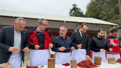 🔊 Haberi Sesli Dinle Hazır ▶ Dinle ⏸ Duraklat ⏹