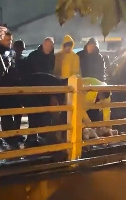 🔊 Haberi Sesli Dinle Hazır ▶ Dinle ⏸ Duraklat ⏹