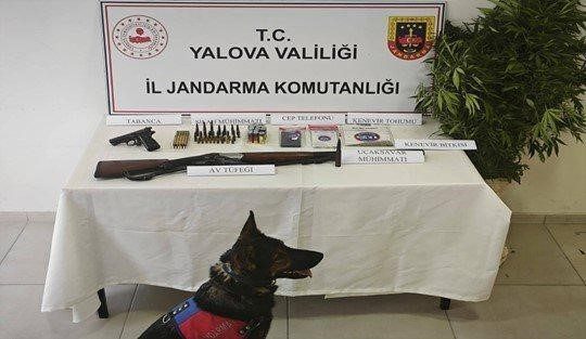 Yalova’da kenevir ekimine yönelik operasyonda silah ve mühimmat ele geçirildi 🔊 Haberi Sesli Dinle Hazır ▶ Dinle ⏸ Duraklat ⏹
