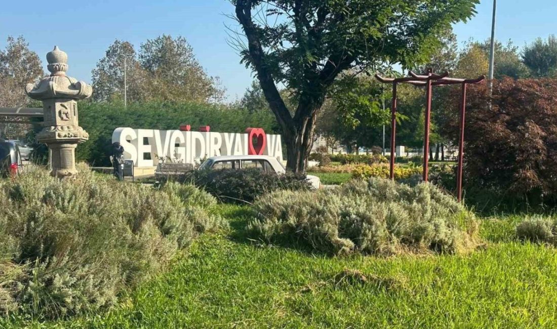🔊 Haberi Sesli Dinle Hazır ▶ Dinle ⏸ Duraklat ⏹