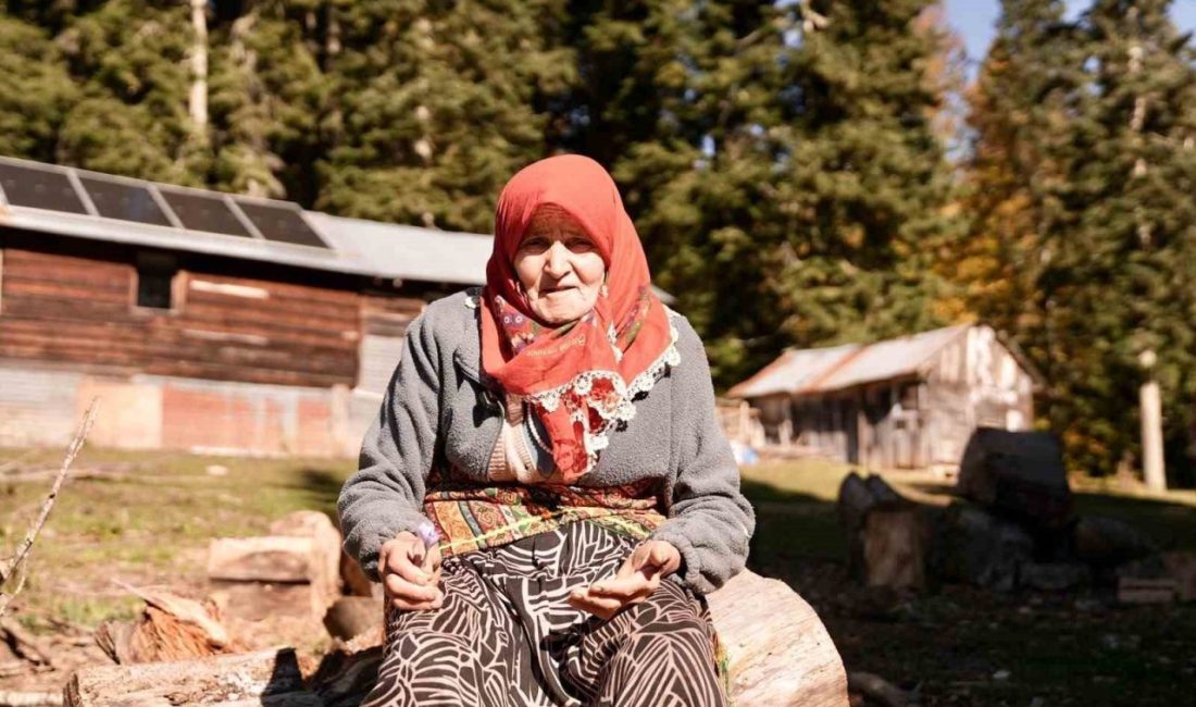 🔊 Haberi Sesli Dinle Hazır ▶ Dinle ⏸ Duraklat ⏹