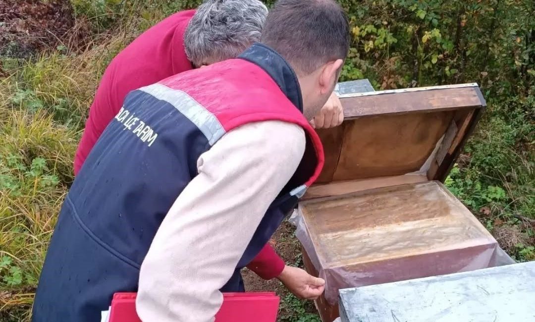🔊 Haberi Sesli Dinle Hazır ▶ Dinle ⏸ Duraklat ⏹