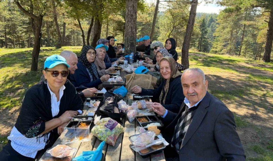 🔊 Haberi Sesli Dinle Hazır ▶ Dinle ⏸ Duraklat ⏹
