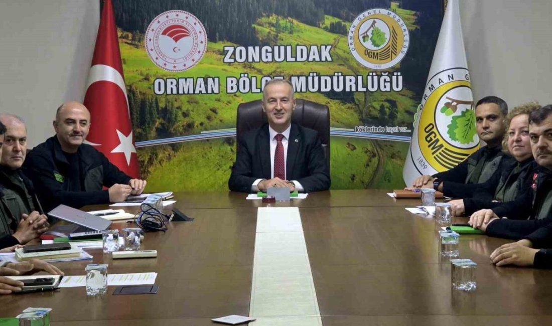 🔊 Haberi Sesli Dinle Hazır ▶ Dinle ⏸ Duraklat ⏹