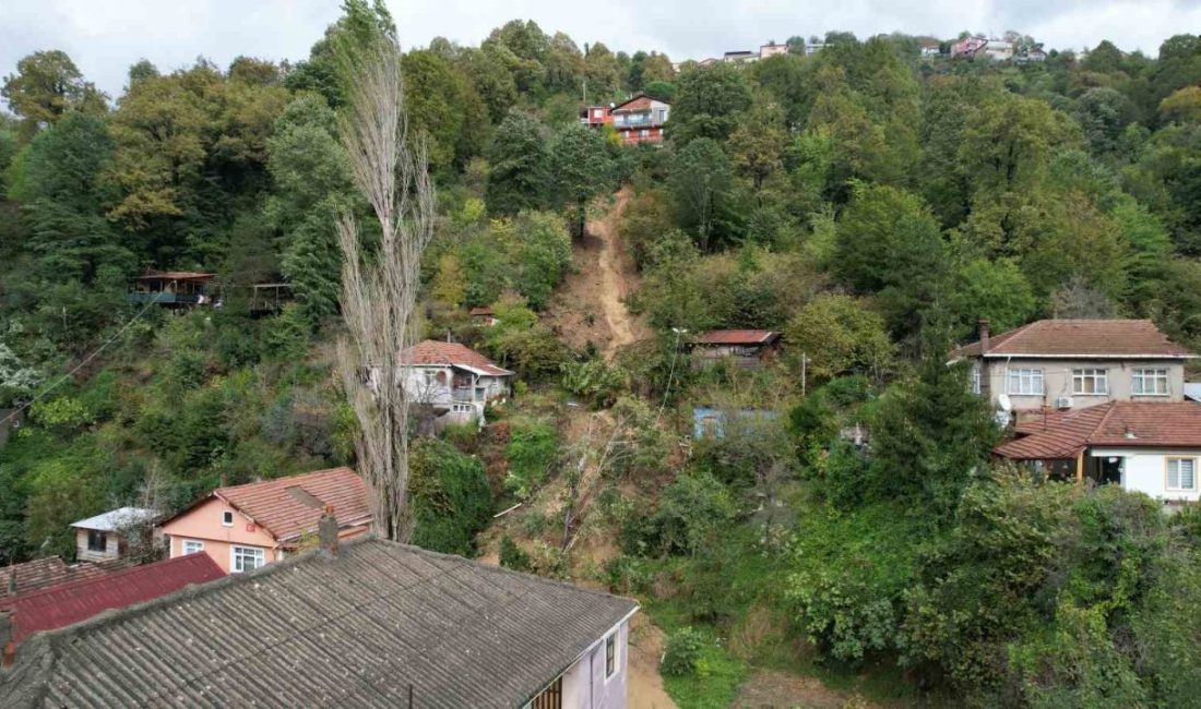 🔊 Haberi Sesli Dinle Hazır ▶ Dinle ⏸ Duraklat ⏹